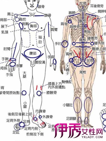 【图】人体部位名称及体表标志 人体穴位分布图欣赏