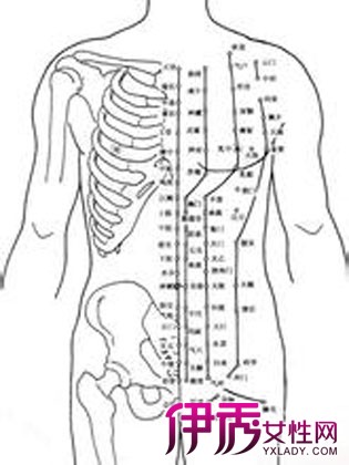 【图】女性腹部结构图大揭密 腹部疼痛怎么办?