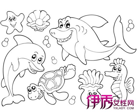 图 幼儿海底世界简笔画图片展示向你介绍幼儿学绘画的3大作用 幼儿海底世界简笔画 伊秀亲子网 Yxlady Com