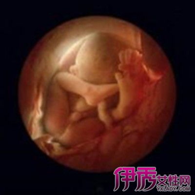 【图】关于怀孕六个月宝宝图片 以下指标助你