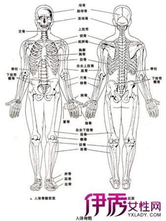 图 人体部位名称及体表标志人体穴位分布图欣赏 3 人体部位名称 伊秀