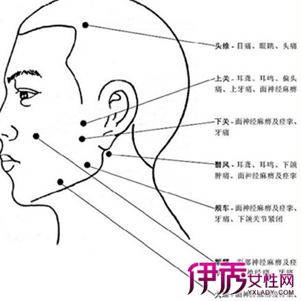 头部按摩位置标准图图片