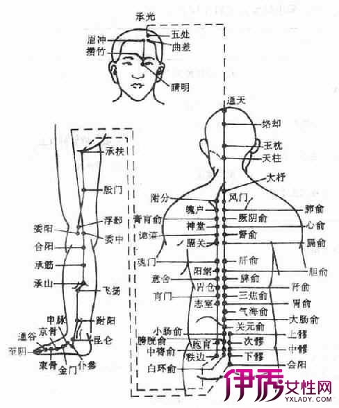 【圖】人體經絡穴位定位圖解 介紹你所不知道的人體構造