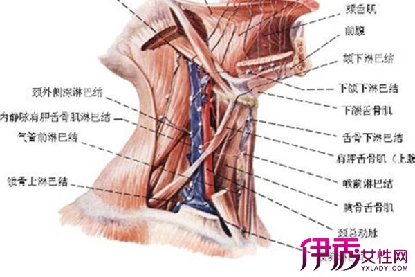 淋巴结肿大应对措施：专家建议与处理方法