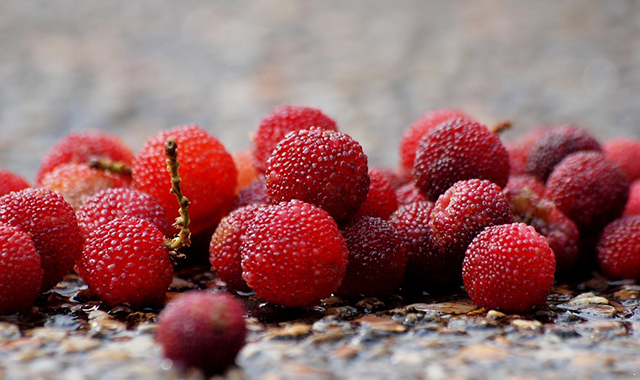 berry-1721444_960_720.png